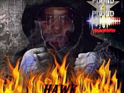 Image for Hawk