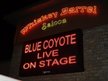Blue Coyote Band