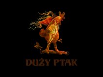 Duży Ptak
