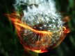 Burnin' Dandelions