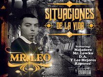 "Mr.leo"