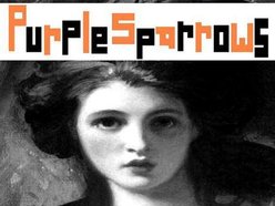 Image for Purple Sparrows