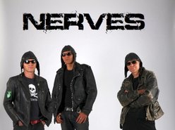 Image for NERVES
