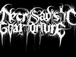 Image for Necrosadistic Goat Torture