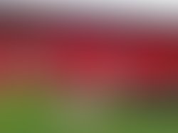 1334316639 jabberwocky1