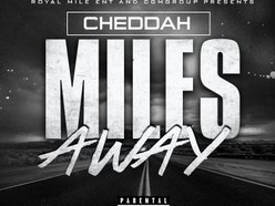CHEDDAH