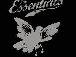 Image for The Essentials