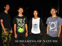 Screaming of Nature