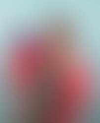 1415267403 lindsshoutpromo copy