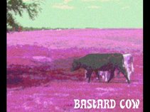 Bastard Cow