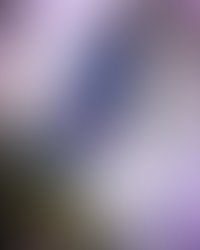 8defd685 404e 47ec af2d 46e6befa80fc