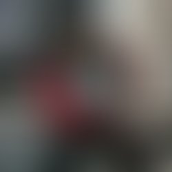 16649353 1422084341144720 3395651962432851248 n