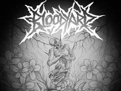 Image for Bloodyard