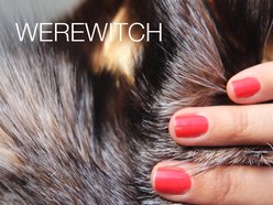 Image for Werewitch