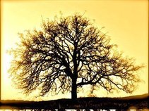 The East Wind