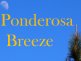 Ponderosa Breeze