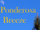 Ponderosa Breeze