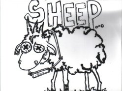 Image for Sheep