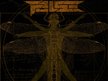 Pulse DFW