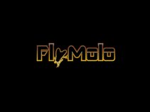 Fly Molo