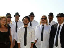 SHORELINE ROOTZ