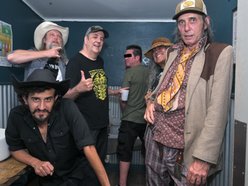 Image for Hickoids
