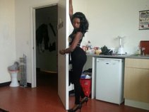 Lady Stallion