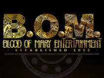 BOM ENT LLC