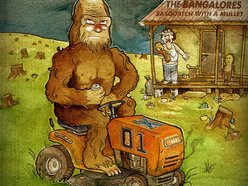 Image for The Bangalores