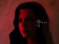 Image for DOE EYE