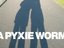A Pyxie Worm