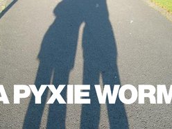 A Pyxie Worm