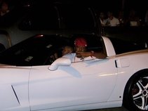 LUCCI LOU