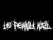 10 Penny Nail