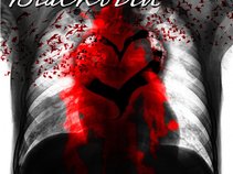 Blackbird
