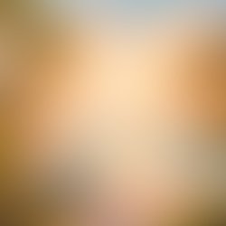 File 00000000e81c71f5a754dc40038