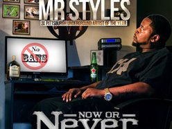 The Furious 1 Mr. Styles