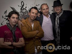 Image for radiolucida