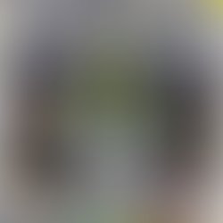 Infinite op cd coverglows