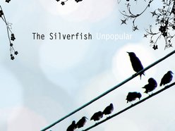 Image for The Silverfish