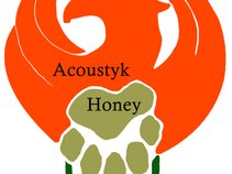 Bear's Acoustyk Honey