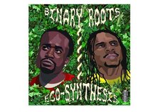 Binary Roots