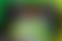 1312727925 cd final copy