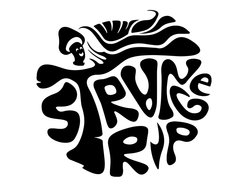 Image for The Strange Trip