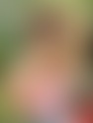 7d9a4233 a8c5 4f76 b85d 7f371d44859a