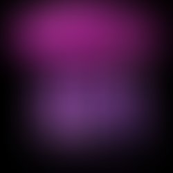 37604 460808441320 8292315 n