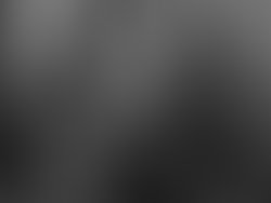 1312922398 225777817462520 112211498819153 637233 1637105 n