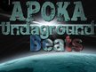 APOKA UNDAGROUND (STONE POETS)