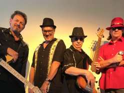 Image for Poppy & The Usual Suspects