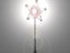 The Wand